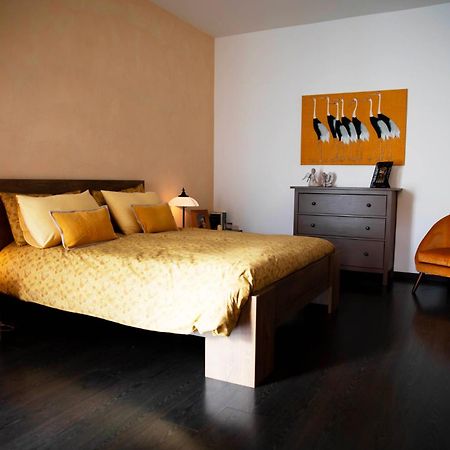 Sound Of Colors - Art Design Apartment Desenzano del Garda Zewnętrze zdjęcie
